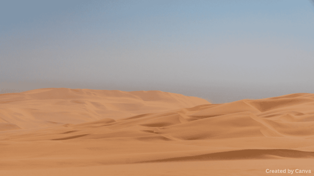 Conditions in the Desert