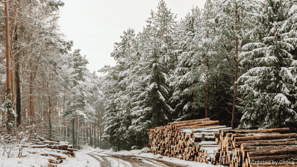 Winter Weather in Nevada