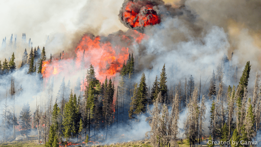 How Car Insurance Works After a Wildfire in Nevada