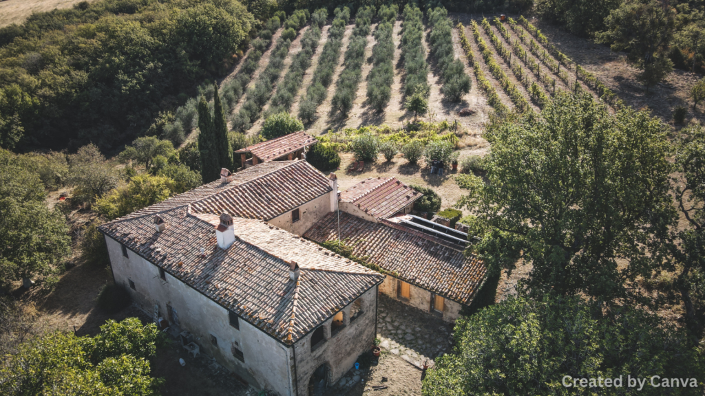 The Economy of Nevada as a Whole and How It Affects the Area