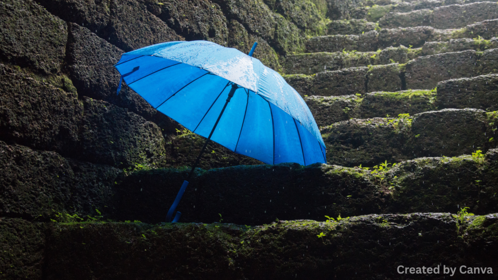 Why Nevada Drivers Should Consider Umbrella Insurance