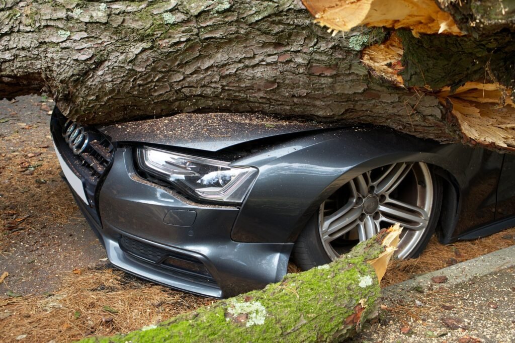 comprehensive vs collision insurance Nevada